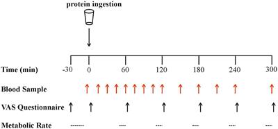 Ingestion of ‘whole cell’ or ‘split cell’ Chlorella sp., Arthrospira sp., and milk protein show divergent postprandial plasma amino acid responses with similar postprandial blood glucose control in humans